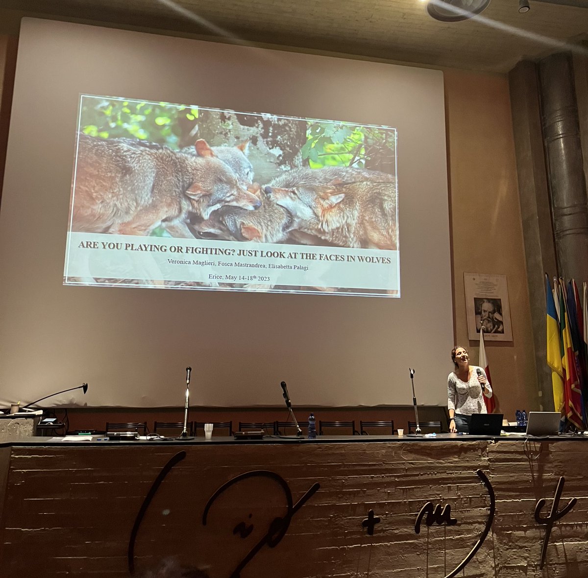 Erice2023 PLAYFUL SOCIETIES tweet media