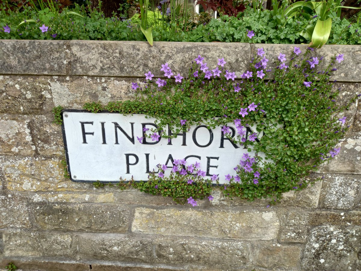 A Flat In Town tweet media