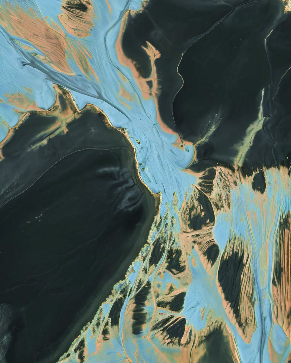 FIELD.BLUE tweet media