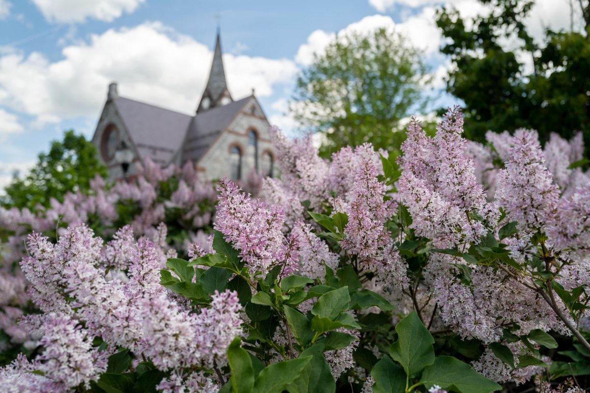 UMassAdmissions's tweet image. Wishing our @UMassAmherst students a happy last day of classes this spring semester 🌸! 
#umassamherst #umass #lastdayofclasses