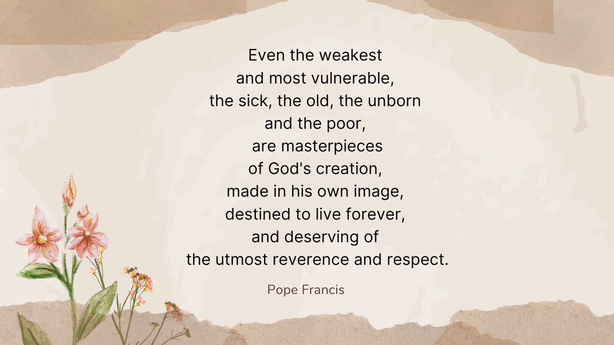 RVCDioceseCMA's tweet image. Respect Life programs defend and protect human life.
Learn more about this ministry:  respectlife.drvc.org

#respectlife #LongIsland #DRVC