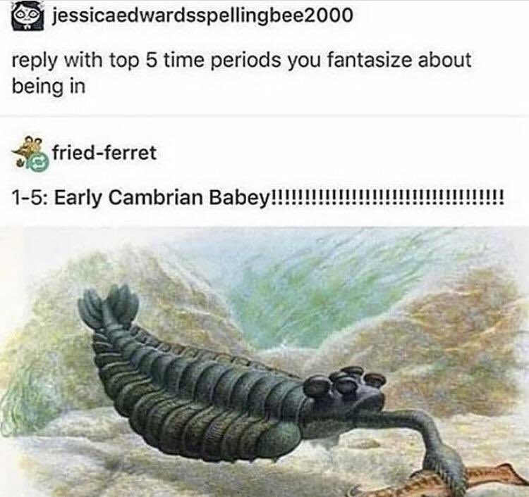 Early Cambrian Babey!!!!!!!!!!!!!!!!!!!!!!!!!!!!!!!!!!!!