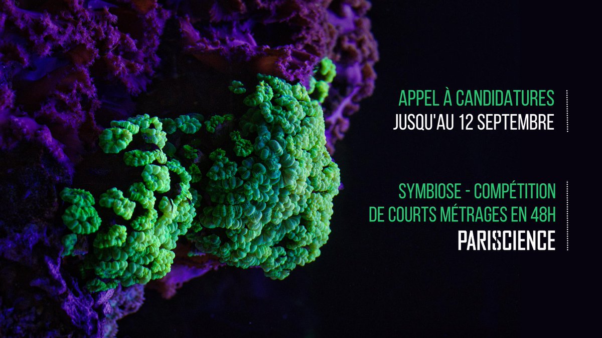 AssocScienceTV's tweet photo. Vous êtes scientifique ou réalisateur.rice?

Participez à Symbiose! 

🧑‍🤝‍🧑 Des binômes tirés au sort composés d'un.e scientifique et d'un.e réalisateur.rice ont 48h pour écrire, tourner et monter un court métrage.

La thématique de l'année: MÉTAMORPHOSE

➡️ https://t.co/3BU3MgN7cu https://t.co/wiRx269hgm