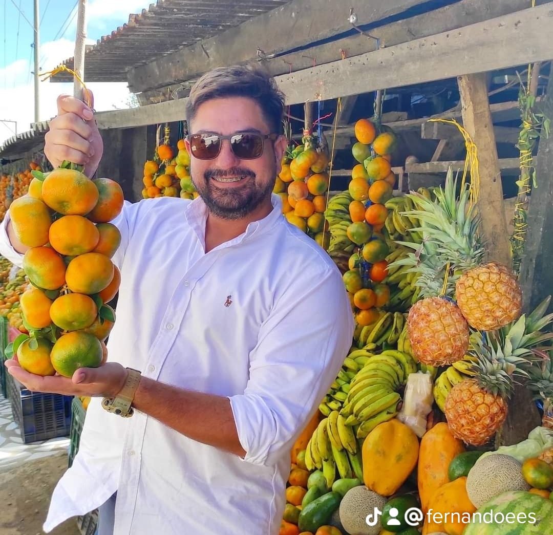Fernando Ees (@FernandoEES) / Posts / X
