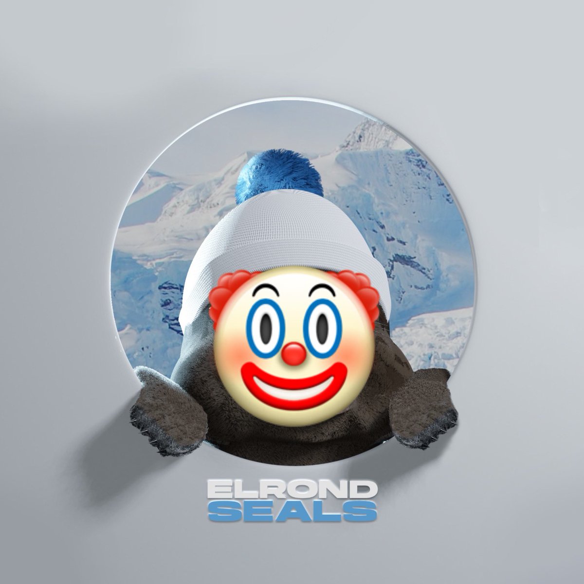The Seals | Rebranding tweet media