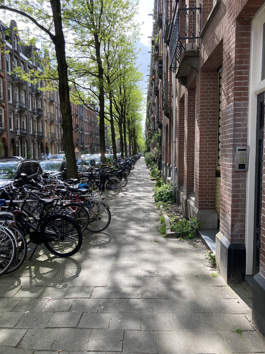 jaro_bl's tweet photo. Was sieht man in Amsterdam nicht (mehr)? eScooter die überall herumliegen und deren rücksichtslose Fahrer. Mit Radfahrern, die sich weitestgehend an Verkehrsregeln halten, kann man angenehm flanieren. So schön war es in @hamburg_de früher auch. 🥺 https://t.co/lTu9nbRvM9