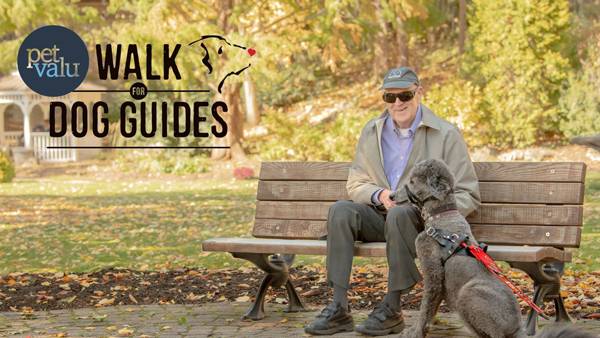 MvilleMessenger's tweet photo. Walk for Dog Guides Prepares for 9th Annual Event in Martensville - Read full article >> https://t.co/eyOJWZUSFq https://t.co/MDYmco4gEU
