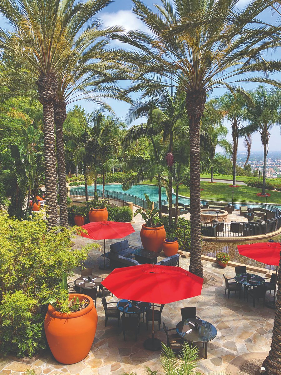 Truffle Butter Pasta at Red Restaurant &amp; Bar! Delicious! 
#lobsterpasta #pasta #pastalovers #Foodie #Food