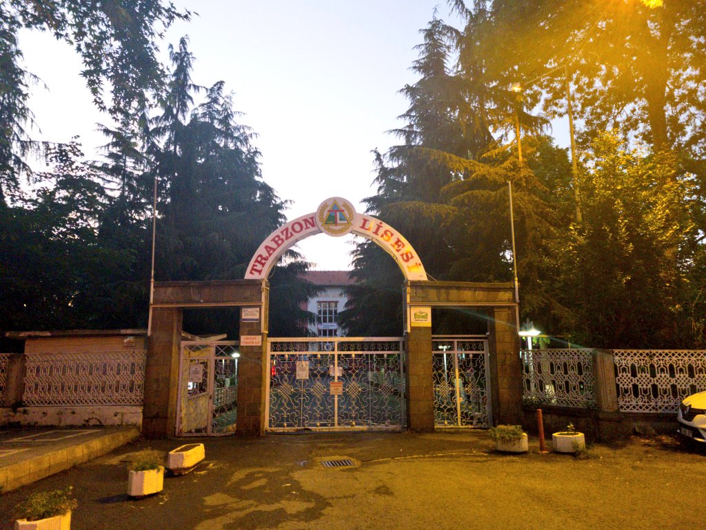 "Öğret bana,
Nasıl unutulur düşünmek?"
William Shakespeare