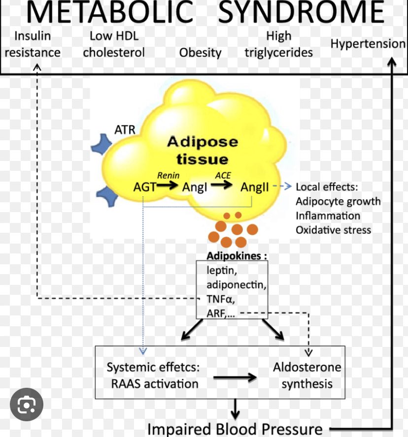 95% of hypertension are treated without understanding the underlying cause. 
In most cases, the metabolic disease is that undiagnosed cause & it is far more impactful to treat hypertension by reversing metabolic syndrome than by lifelong medication
#WorldHypertensionDay