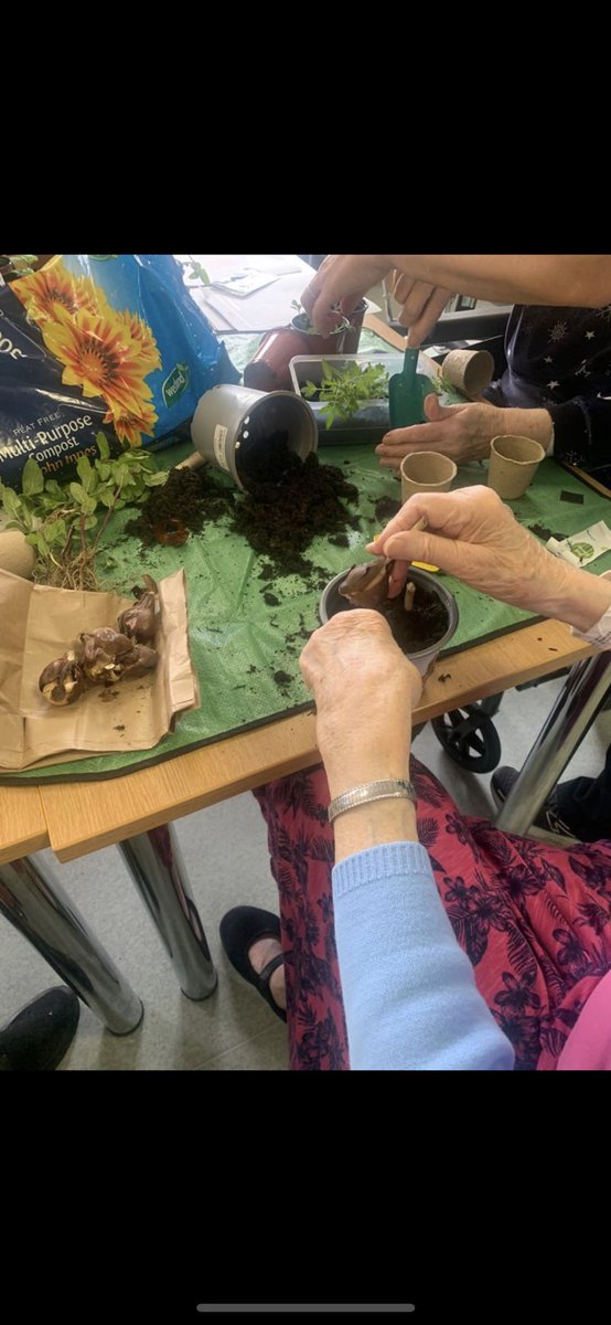 OAPL_ABUHB's tweet photo. The OAPL team carried on activities for dementia awareness week today, we chose gardening which went down really well, it was lovely to see patients really enjoying doing something different 🪴💙#DementiaAwarenessWeek https://t.co/qxxxE8IPPm