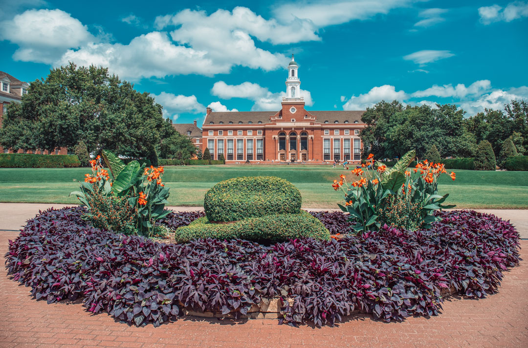 If you're looking for info on meal plans, nutrition, menus or dining hours-- it can all be found at dining.okstate.edu!

#okstate #gopokes