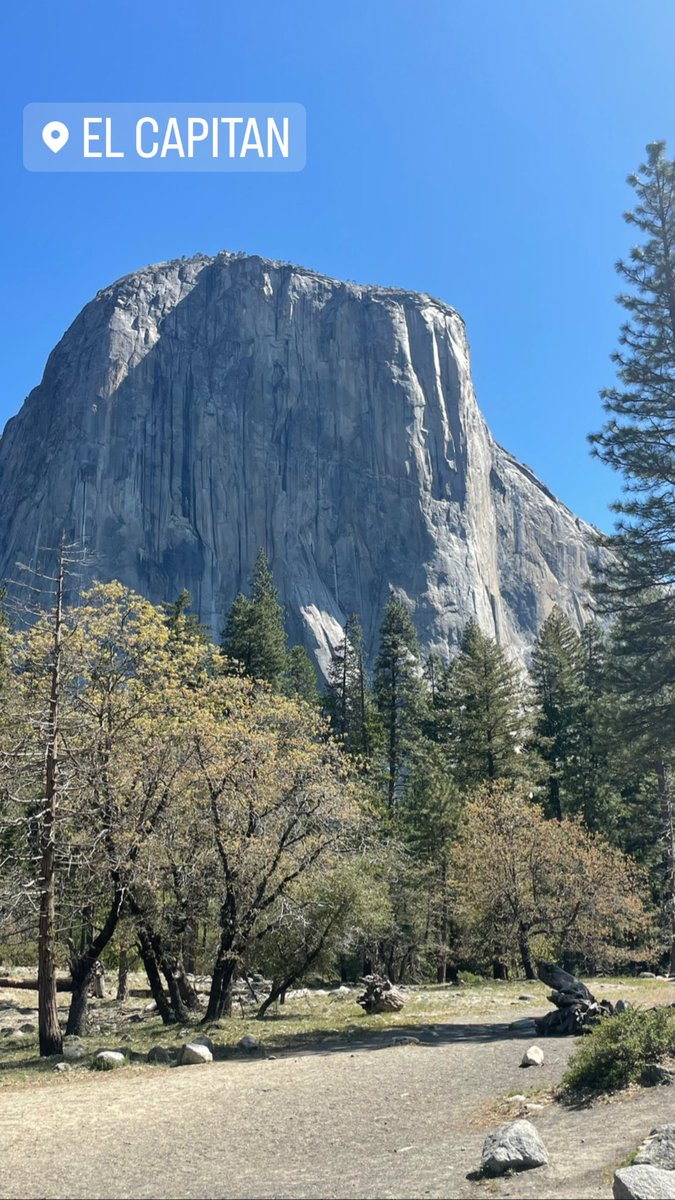 emmax33jo's tweet photo. #Yosemite … you are just gorgeous. Showing off for us😝 https://t.co/nzCdkhWL28