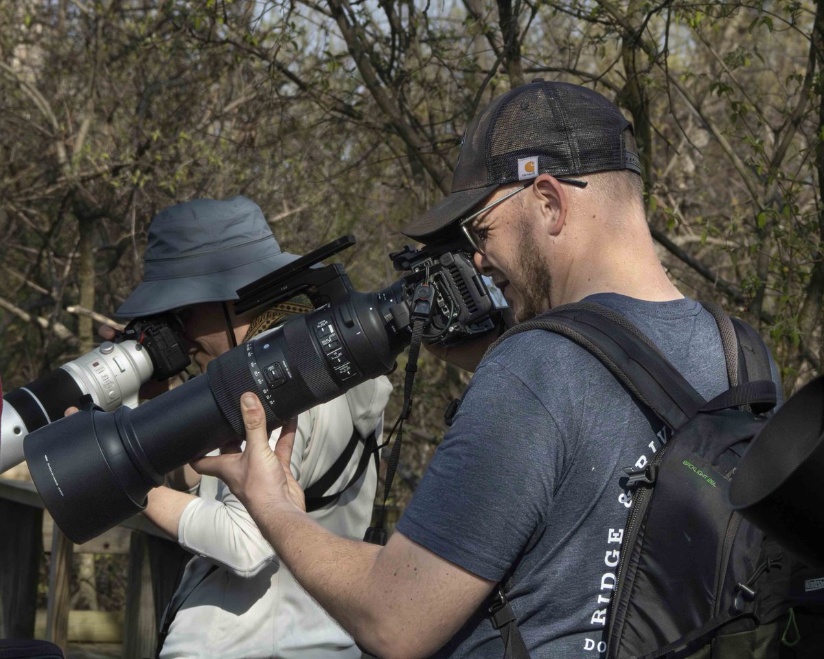 sethbnews's tweet photo. Check out my story on the Biggest Week in American Birding! https://t.co/h94rdVSZTt https://t.co/5A8askehIY