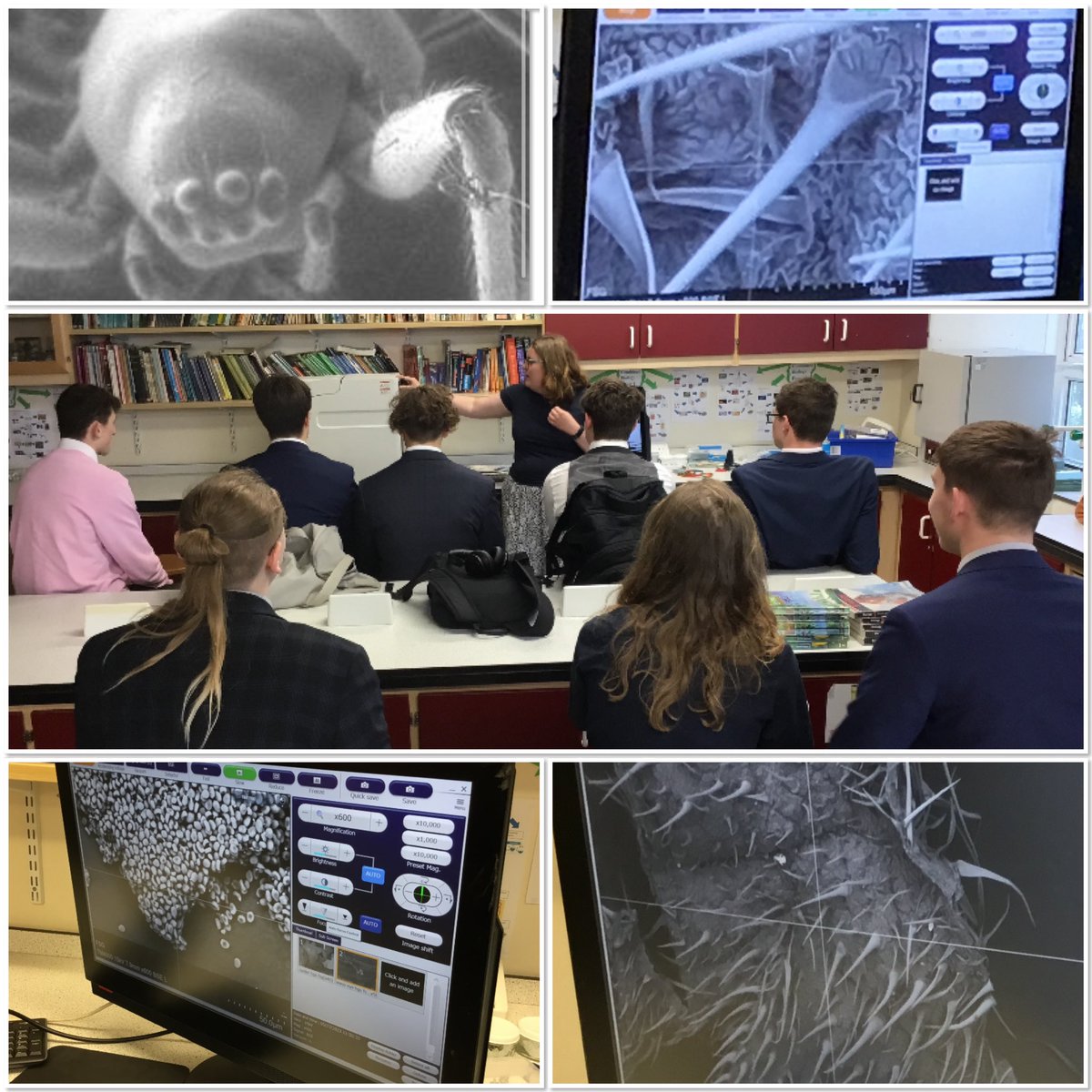 BiologyHarvey's tweet photo. It’s all go for our Year 12 Biologists this week! Today we went to FSG and had a great time using the SEM microscope on lend from @ResearchInSch . Thank you so much for accommodating us, such a unique opportunity. https://t.co/jK499Wzfv5