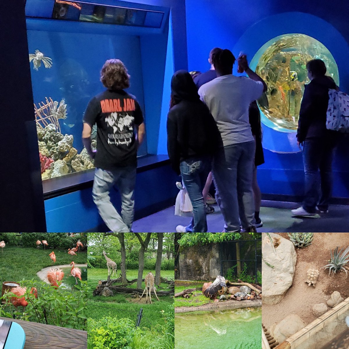 Meredith Weir (@mweirstem) on Twitter photo Zoology students had a great day at the Indianapolis Zoo <a href="/BenDavisNGC/">Ben Davis NGC</a> #NGCPride #wearewayne Zoology students had a great day at the Indianapolis Zoo <a href="/BenDavisNGC/">Ben Davis NGC</a> #NGCPride #wearewayne