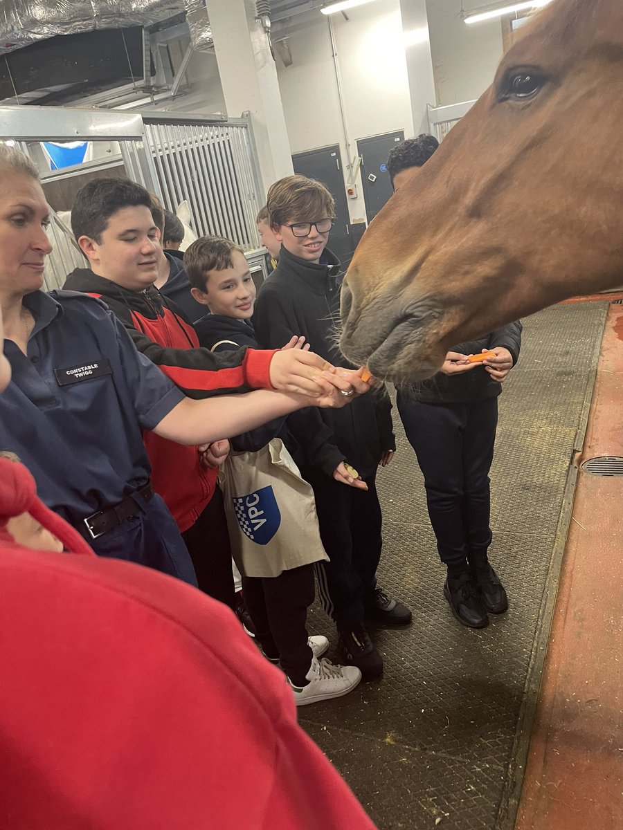 HammFulVPC's tweet photo. Last night the @MPSTaskforce hosted us at Hammersmith stables to see what they do &amp; of course the horses 🐴 

The cadets loved it &amp; they even got to feed them apples 🍏 &amp; carrots 🥕 https://t.co/8BgDp0NXnR