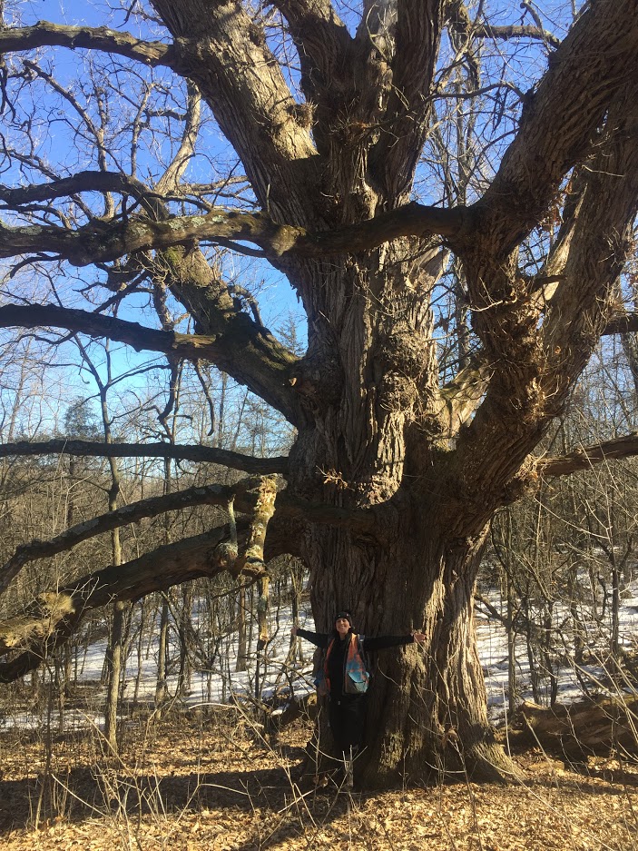 #DYK that trees have the greatest potential to cost-effectively reduce carbon emissions?

🌳We are working with the American Forest Foundation to pay small landowners for managing their forests with climate change in mind. Learn more: 

nature.ly/3Oi7gXZ