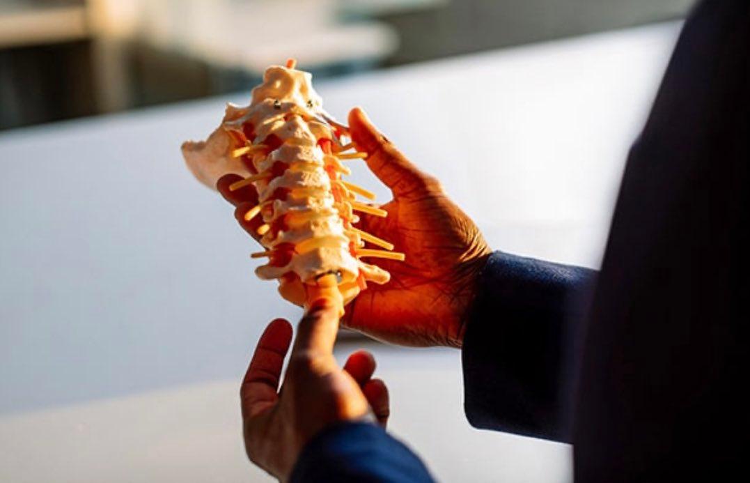 MayoClinicNeuro's tweet photo. Mayo Clinic currently has 24 #clinicaltrials focused on #SpineCare. Learn more: https://t.co/D5l34e2Eb5 #SpineSurgery #Scoliosis #BackPain #SpinalCord #SpinalCordInjury #SpinalStimulation https://t.co/rIn6CPIQPu https://t.co/CGox2i0lzU