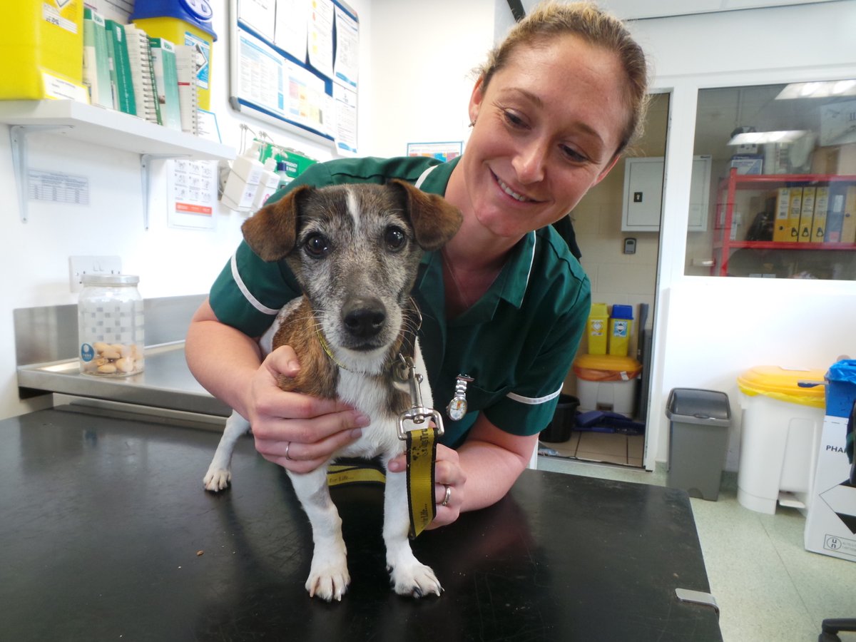May is Vet Nurse Awareness Month. 💛🐶💛 We are taking the opportunity @DogsTrust #Ilfracombe to give a big shout out to our #VetNurse Claire. 
She shows the upmost care for the welfare of our dogs. #VetNurseAwarenessMonth #LoveDogs #ADogIsForLife #RescueDogs #AdoptFosterRescue