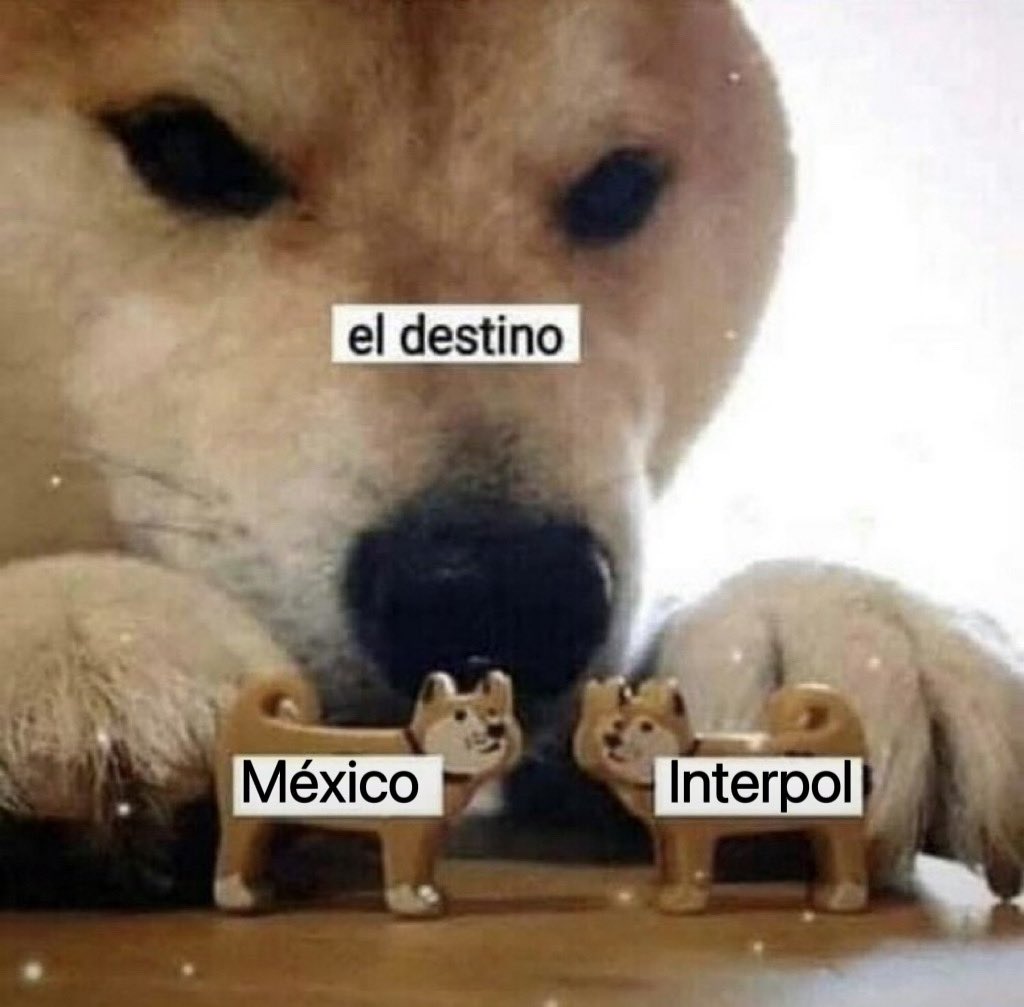 Una vez más: 
#Interpol