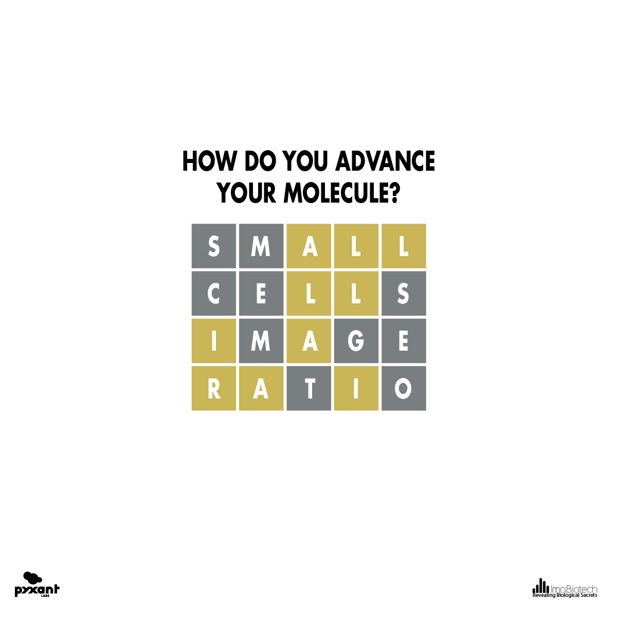 We're almost there 🔎 Sign up here to be the first to know: imabiotech.com/contact-imabio… #somethingscoming #pyxantimabiotech