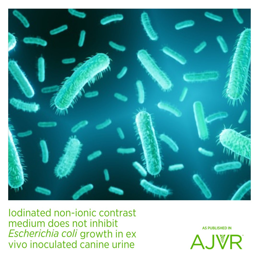 AJVROA's tweet photo. Based on the experimental in vitro conditions described in an AJVR study, administration of #iohexol before the collection of urine during urologic procedures does not negatively impact the isolation and growth of E. coli.
Learn more: https://t.co/5lqt03I8QO @pucvm @ACVIM #ecoli https://t.co/pInxra8hxG