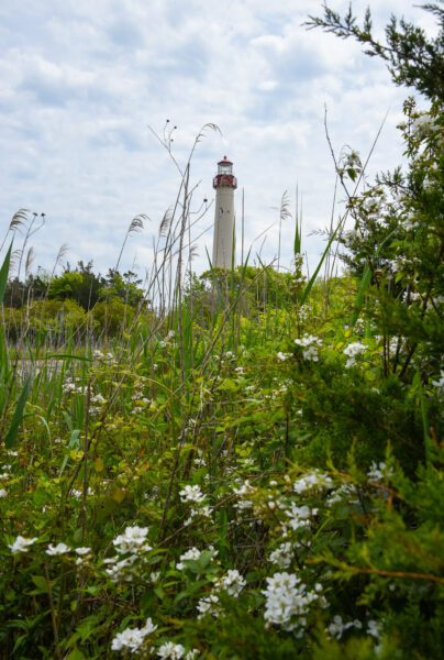 "Cape May Lighthouse" taken by Michelle Giorla bit.ly/42JBRSA #lovecapemay #capemay