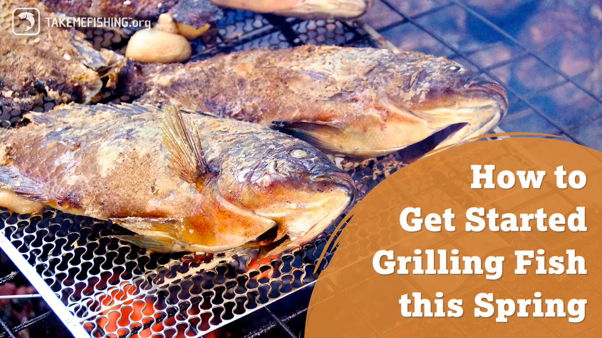 Take_Me_Fishing's tweet photo. Spring is in the air, so it's time to fire up the grill and cook some fresh fish! If you're new to grilling fish, don't worry - our latest blog has covered everything you need to know to get started. Check it out now at https://t.co/9nwn0foXhl!
#GrillingFish #SpringRecipes https://t.co/dqputt6DYq