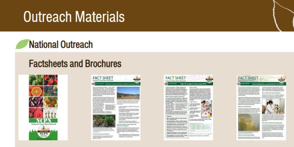 plant_clean's tweet photo. Did you know that the NCPN website has many outreach materials available? Visit our website today at https://t.co/yWVaz49j1v to view our crop brochures, virus factsheets, economic studies, and more! https://t.co/NRNYWGnQ5e
