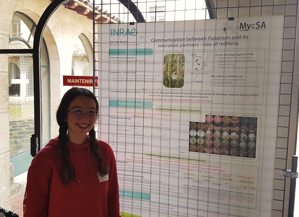 Congratulations to Marine Navarro, winner of the poster award at the Microbibio-NA day, May 16, @univbordeaux, for 'Communication between toxigenic #Fusarium and their microbial partners: roles of #miRNAs'. Her doctoral work is funded by @INRAE_DPT_MICA