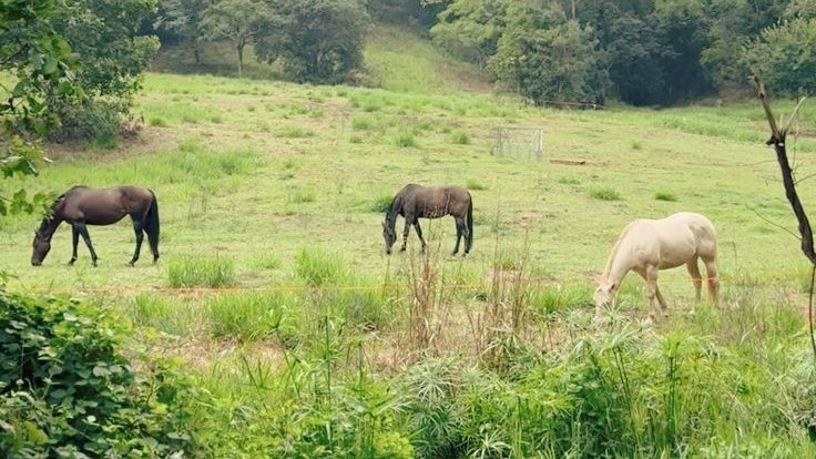 I' (@moodyonmoon) on Twitter photo 