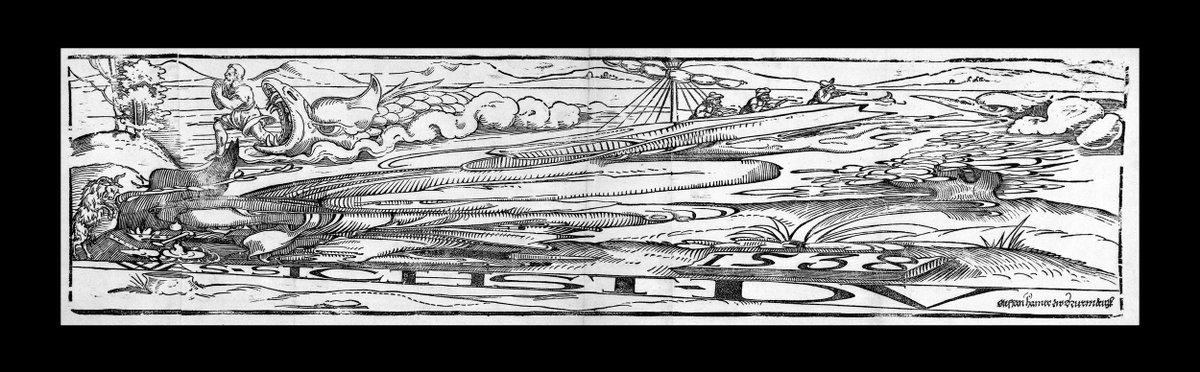 Erhard Schön a donc pratiqué l'anamorphose😵‍💫

Vous connaissez d'autres exemples à la Renaissance, hormis les ambassadeurs ?