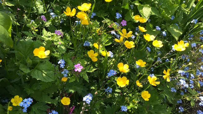 PLOT_22's tweet image. May 2023 Newsletter - mailchi.mp/4464d04c18fe/m… with latest news and updates from PLOT 22