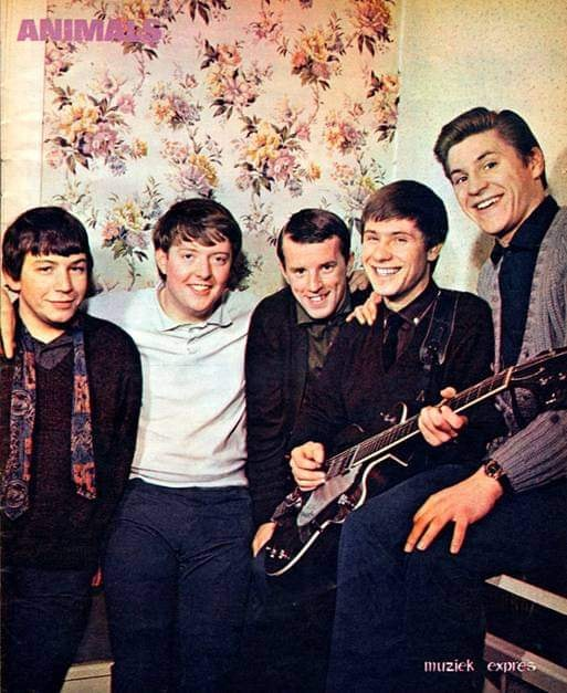 THE ANIMALS :
Gorgeous smiles from these boys.! Happy 82th birthday to ERIC BURDON 