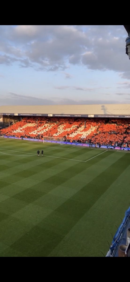 Man Like Pires tweet media