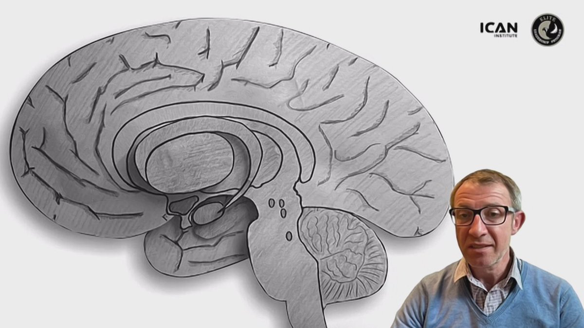 ICAN_Institute_'s tweet image. #EliteLeadershipProgram, sesja V, ,,#Neuronauka w budowaniu nowego środowiska pracy"

✨ dr Wojciech Glac - ,,Niezbędne kompetencje pracowników w niepewnym otoczeniu biznesowym: jak #neuronauka pozwala je rozwijać i przezwyciężać problemy z nimi związane?"

#ELP #różnorodność