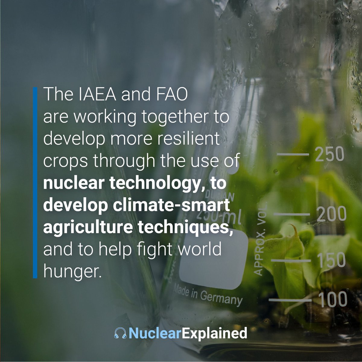 iaeaorg tweet picture