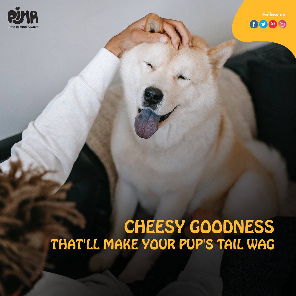 Watch your pup's tail wag with delight as they chow down on PiMA's cheesy canine chew 🐶🧀

#CheesyCanineChew #CheeseTreats #DogChews #CheeseLovers #HealthyDogs #NaturalChews #DogSnacks #ChewTime #CheeseObsession #CheesyDelights #DoggyTreats #CheeseAddict #YummyChews