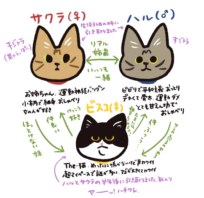 うちのニャンズを紹介するぜ