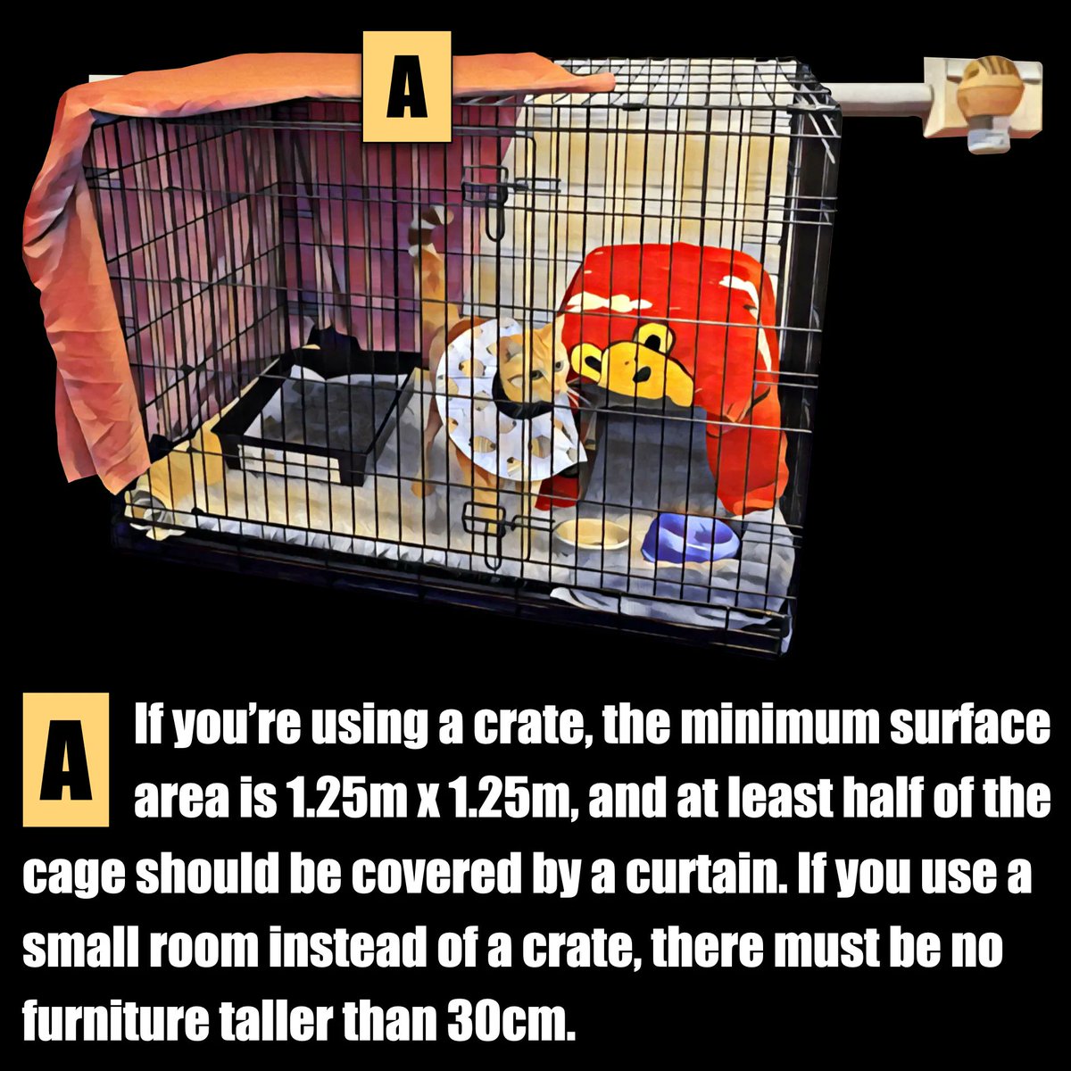 This image shows an example of a safe cat recovery space. If you’re using a crate, the minimum surface area is 1.25m x 1.25m, and at least half of the cage should be covered by a curtain. Learn more at vetlessons.com/safe-recovery-…