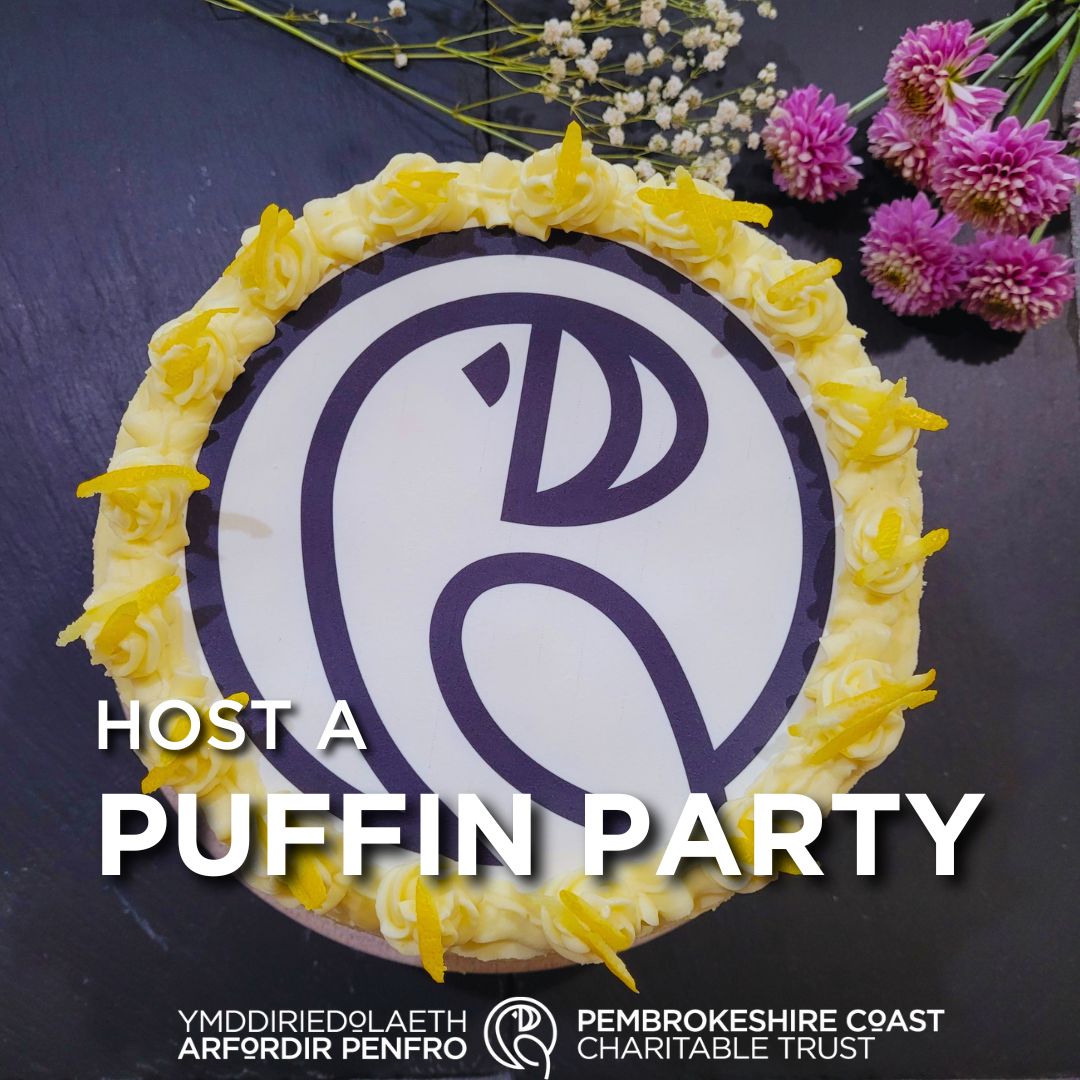 In just 1 month, it will be our 5th birthday and we need your help to celebrate!🥳Host a Puffin Party this July to help protect our National Park. A great opportunity to get together with your loved ones while supporting a great cause. More info👉pembrokeshirecoasttrust.wales/how.../puffinp…