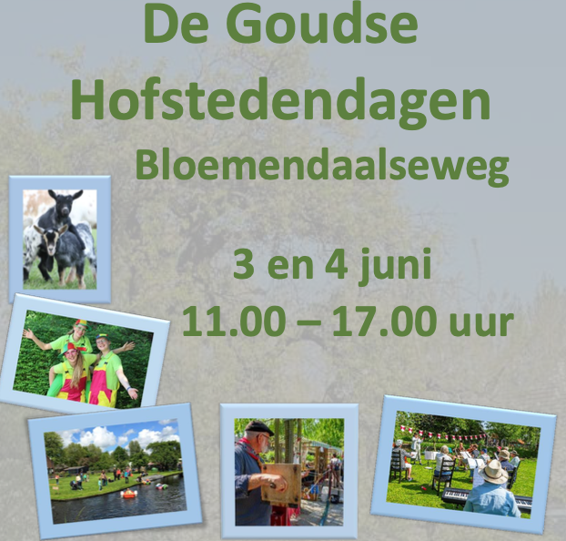 ook zo benieuwd naar het programma? goudsehofstedendagen.nl 

#gouda #hofstedendagen #bloemendaalseweg #riddervancatsweg