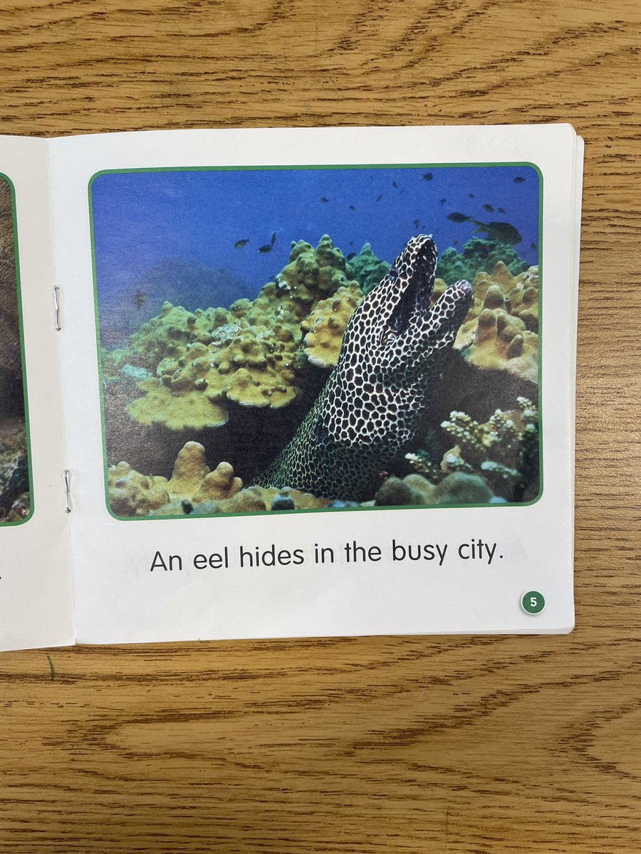 trustingreaders's tweet image. Comments during K independent reading;
I want to play baseball!
Eels are gross. But they don’t hurt people.
Is the man drowning?

Readers have so many  thoughts. They don’t need us to tell them what to talk about.
#Independentreading