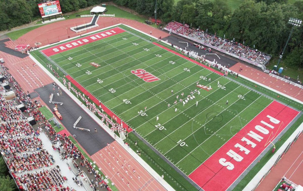 DomSelvitelli ✞ tweet media