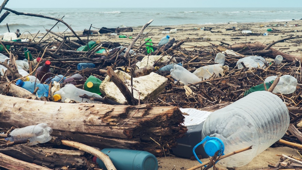 WBG_ClimateEnv's tweet photo. #Pollution causes the deaths of 9 million people each year. It makes its way into the air we breathe, the food we eat, and our oceans. 

Learn more: https://t.co/pXTghP3tKe #BeatPollution https://t.co/ipyOiNmD4L