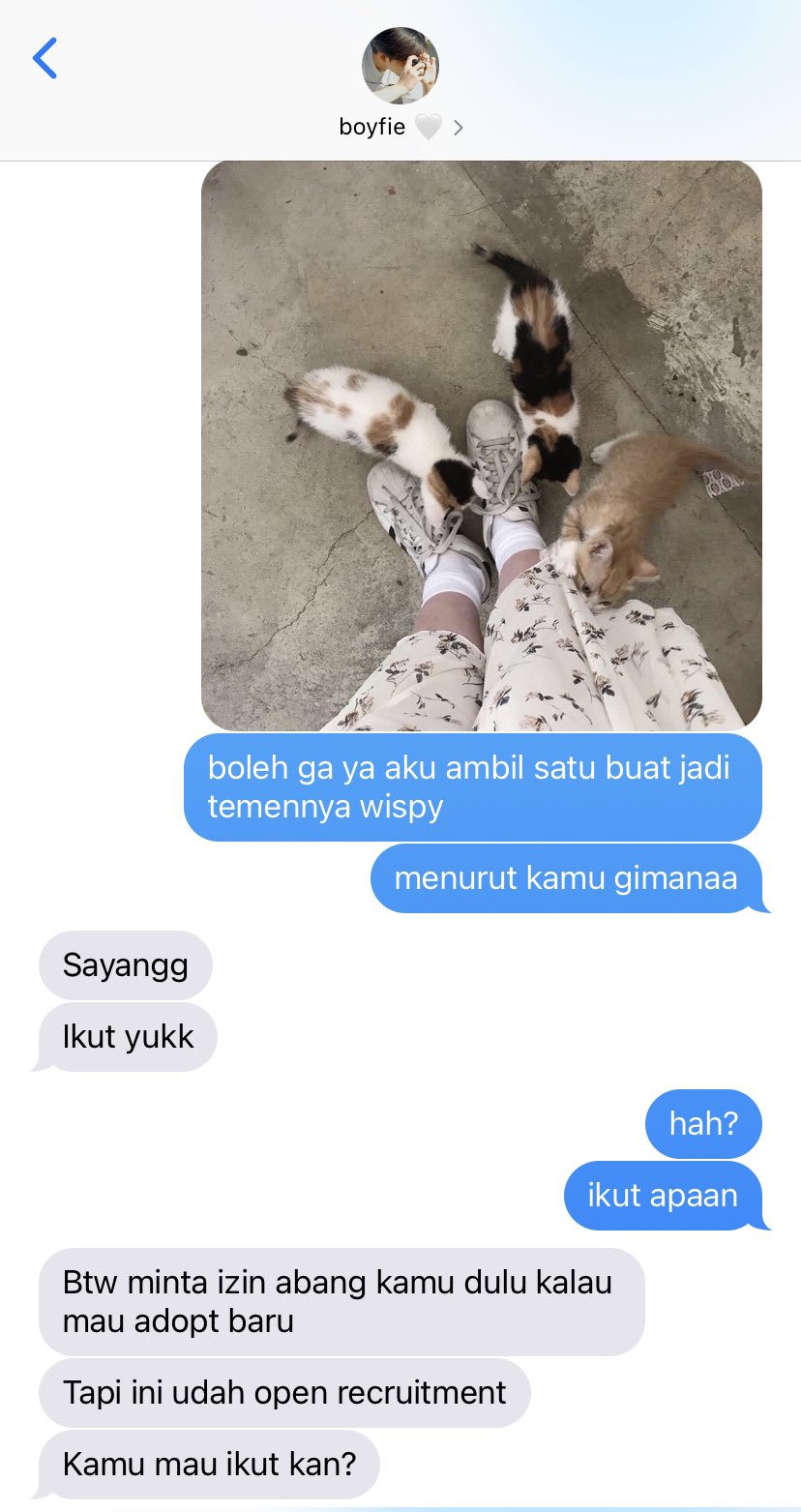 Lin On Twitter 1 Https T Co Plxrtoze4n Twitter