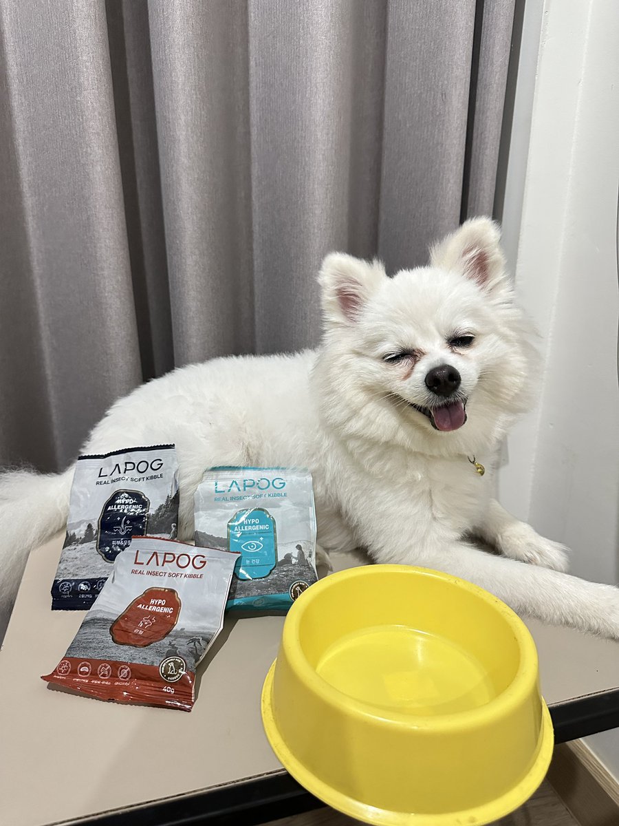 viewwanwa's tweet photo. ได้เวลาเปลี่ยนอาหารแล้วค้าบบ 🧡 เปลี่ยนมาทานอาหารของ foodywarm อาหารน้องหมาเกรดพรีเมียมจากเกาหลี โปรตีนสูง รับรองอร่อยแถมยังสุขภาพดี สามารถเลือกบำรุงได้ตามสูตรต่างๆ กิวจังเลิฟสุดๆเลย https://t.co/d5m3nIa3iw