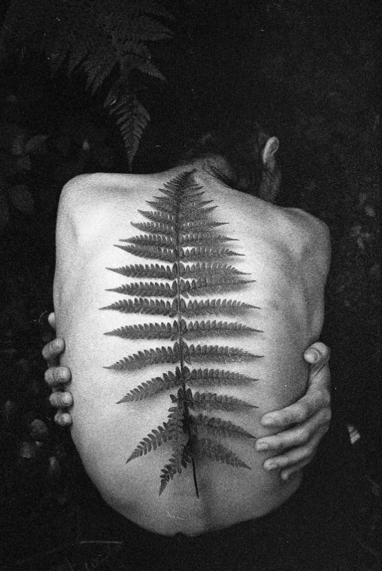 WomenMuseumArt's tweet image. &quot;Eğrelti&quot; by @dynobl - from &quot;First of the roll&quot; collection    

1/1 - 150 ꜩ
objkt.com/asset/KT1XSCht…