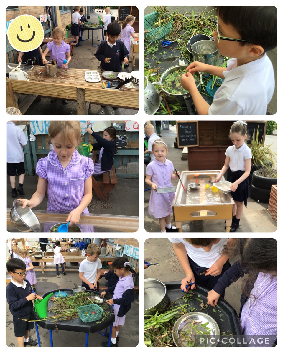 Miss Finn tweet media